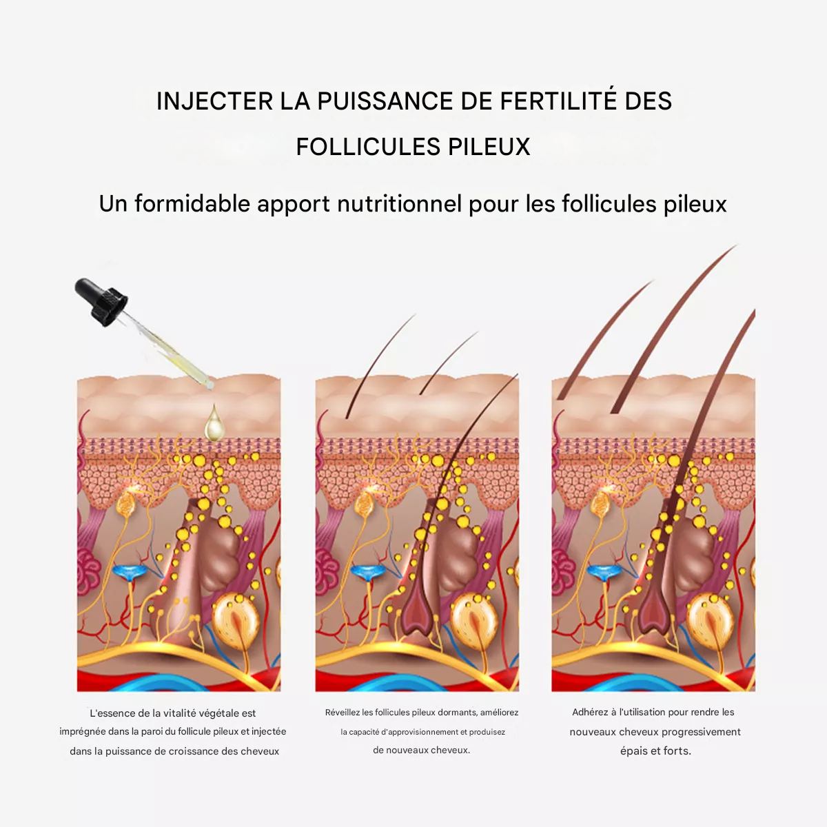 Huile de gingembre pour combattre la calvitie en 7 jours.