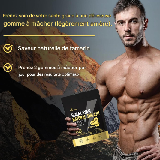 ⚡ HIMALAYAN NATURAL SHILAJIT GUMMIES – VITALITÉ AU QUOTIDIEN Burkina