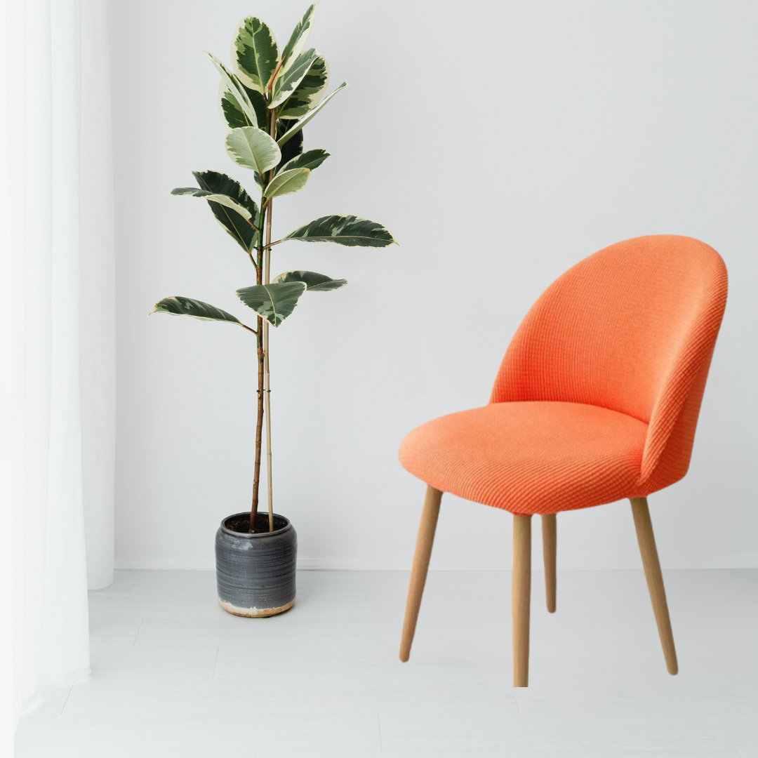 Pack de 4 couvre-chaise élastique.