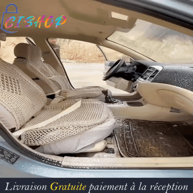 Mousse nettoyante véhicule de 650 ml