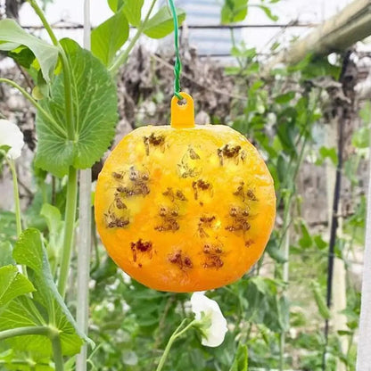 Piège à mouches et à insectes
