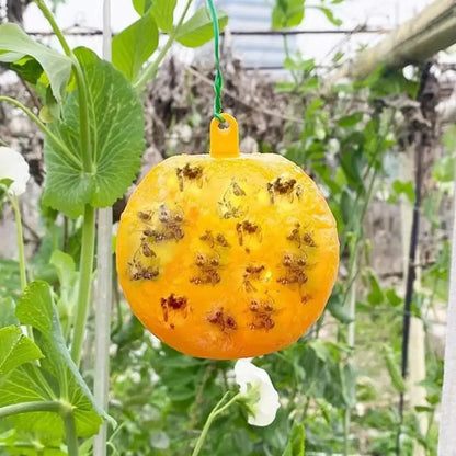 Piège à mouches et à insectes