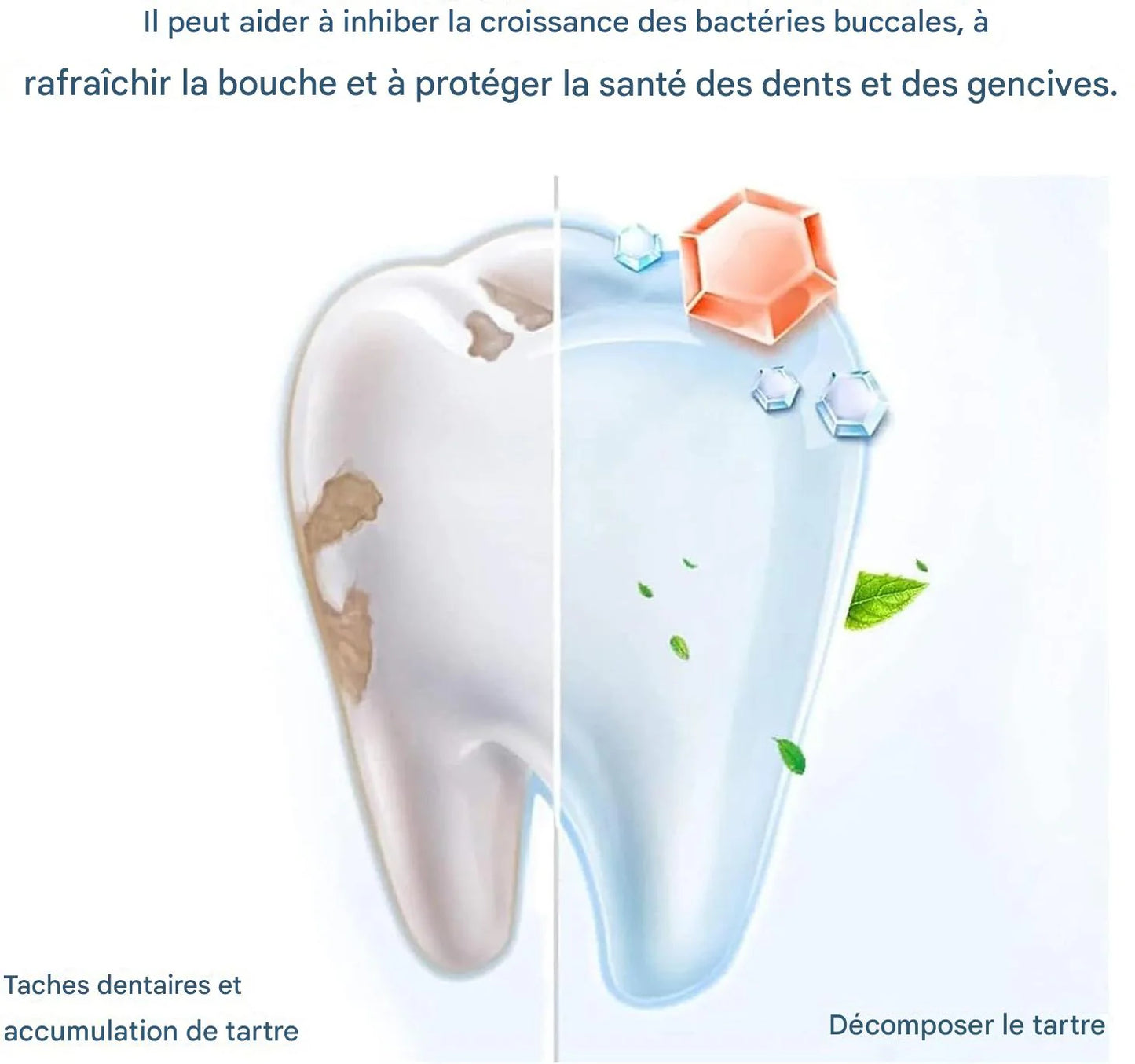 Gel Dentaire Blanchissant & Rafraîchissant.