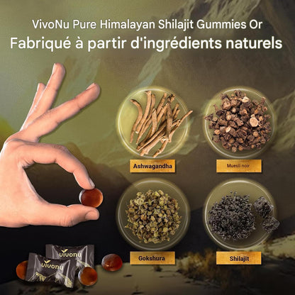⚡ HIMALAYAN NATURAL SHILAJIT GUMMIES – VITALITÉ AU QUOTIDIEN Burkina