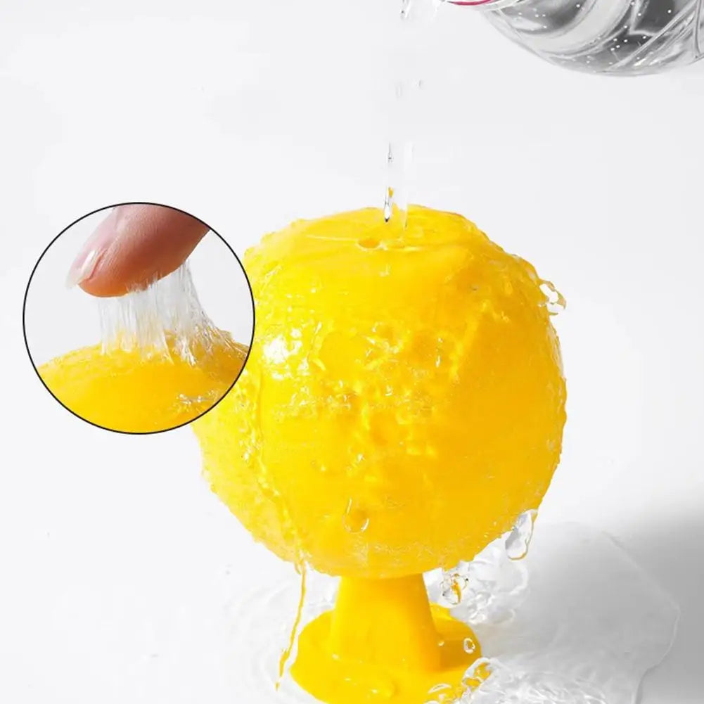 Piège à mouches et à insectes