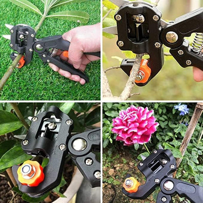 Pince Professionnelle de Greffage.