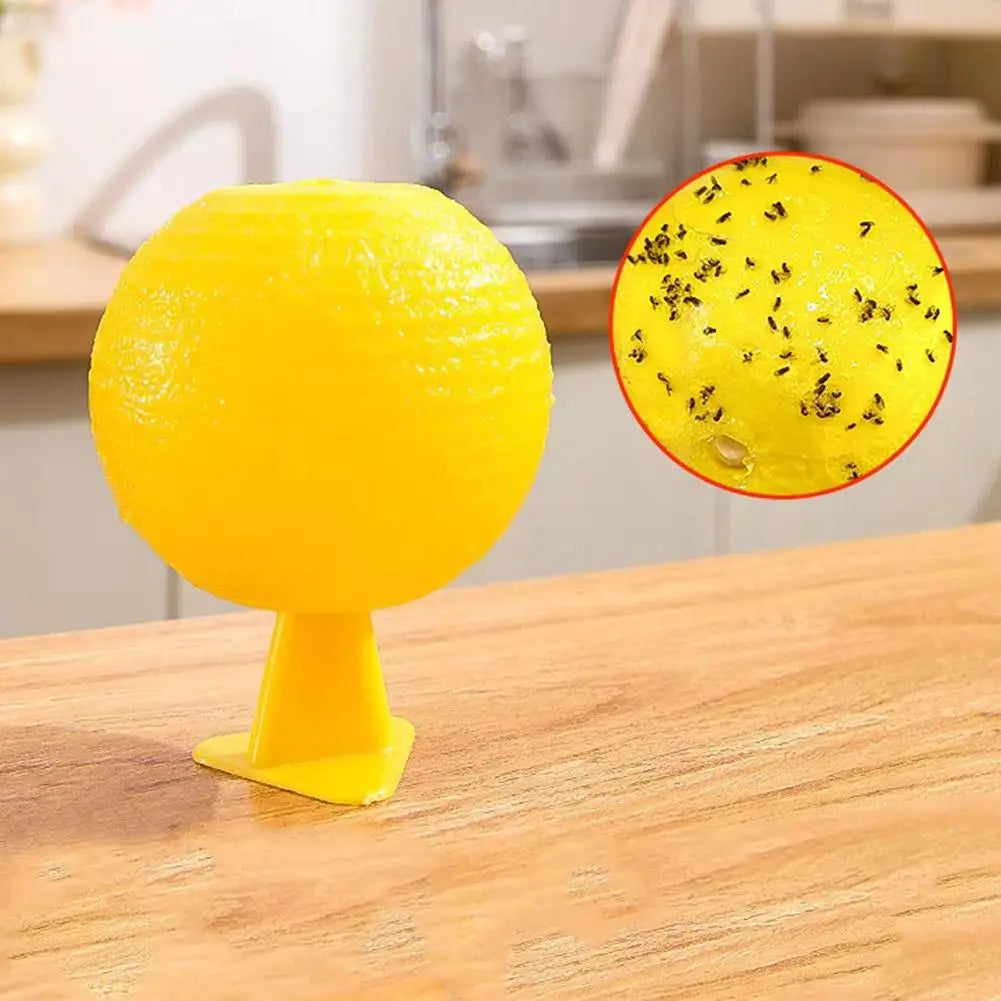 Piège à mouches et à insectes