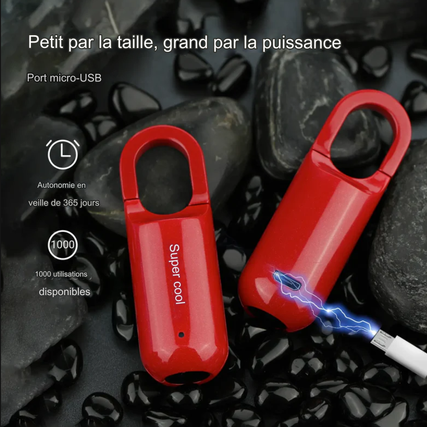 serrure à empreinte digitale intelligente.