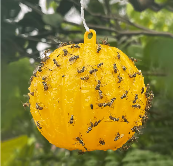 Piège à mouches et à insectes