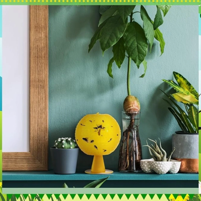 Piège à insectes volants en plastique.