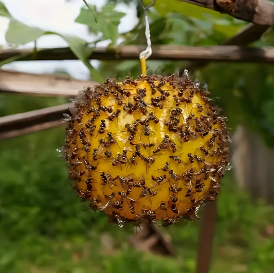 Piège à insectes volants en plastique.