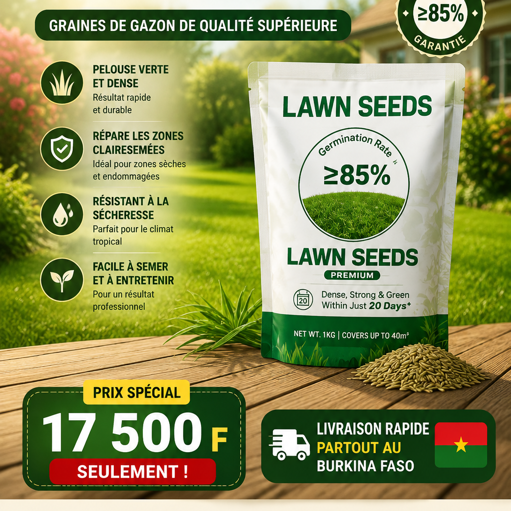 Graines de gazon nain persistant Burkina