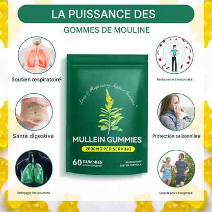 Mullein Gummies 2000 mg – Soutien Respiratoire Naturel au Bouillon-Blanc, 60 Gummies Burkina