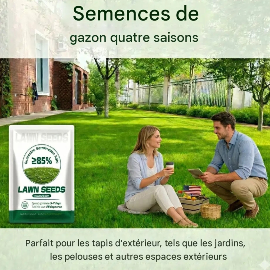Graines de gazon nain persistant Burkina
