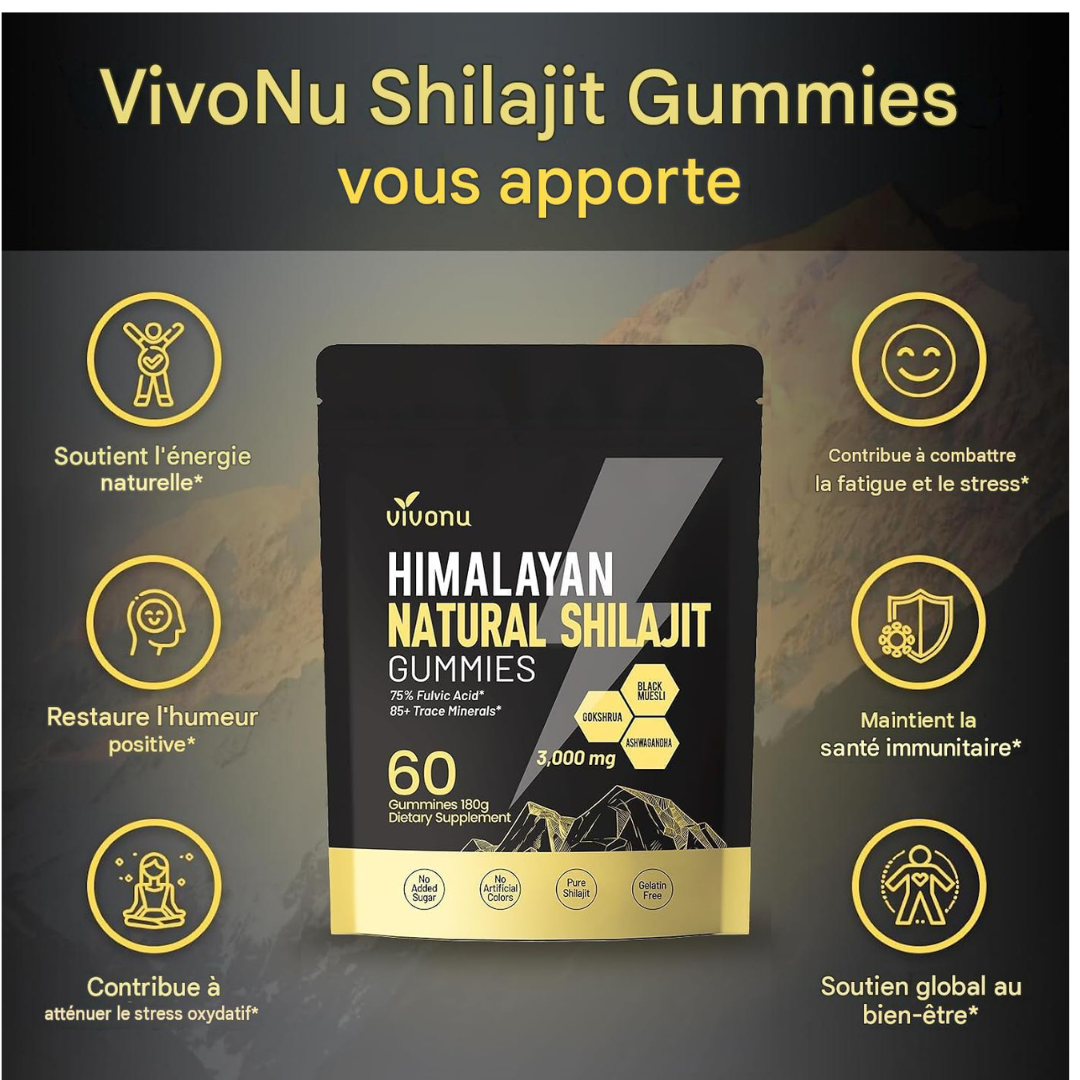 ⚡ HIMALAYAN NATURAL SHILAJIT GUMMIES – VITALITÉ AU QUOTIDIEN Burkina
