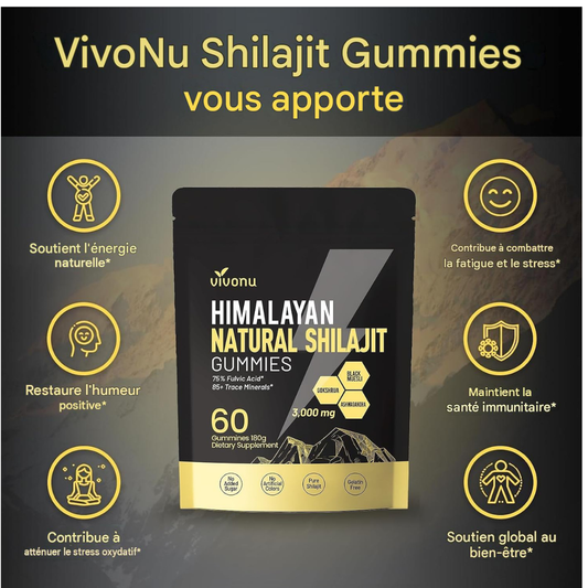 ⚡ HIMALAYAN NATURAL SHILAJIT GUMMIES – VITALITÉ AU QUOTIDIEN Burkina