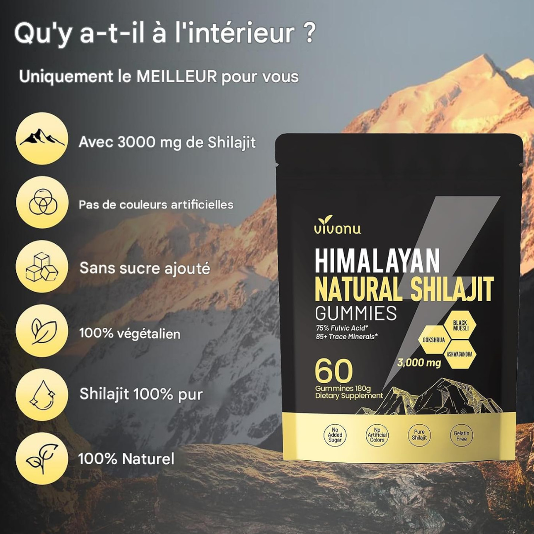 ⚡ HIMALAYAN NATURAL SHILAJIT GUMMIES – VITALITÉ AU QUOTIDIEN Burkina