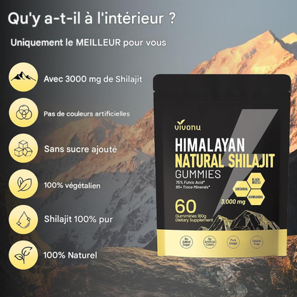 ⚡ HIMALAYAN NATURAL SHILAJIT GUMMIES – VITALITÉ AU QUOTIDIEN Burkina