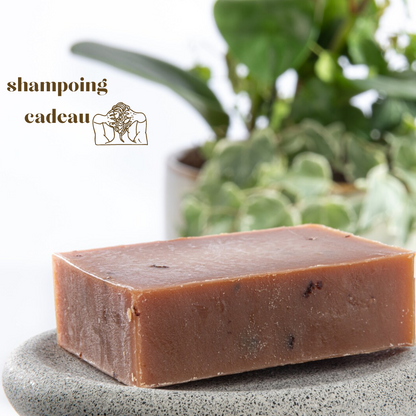 Offre pack de 3 huiles anti chute+ savon shampoing gratuit.