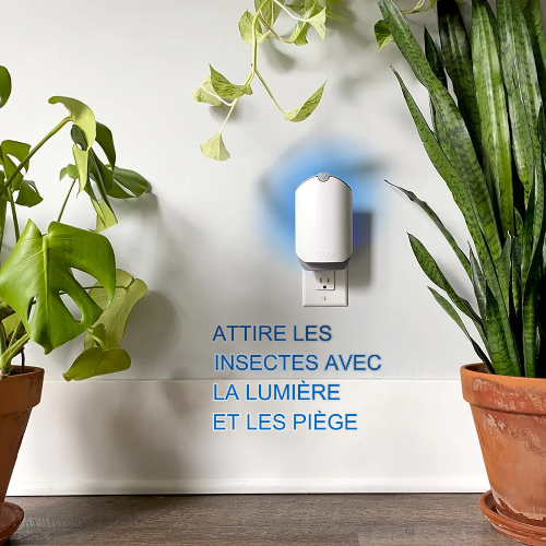 Piège à insectes volants.