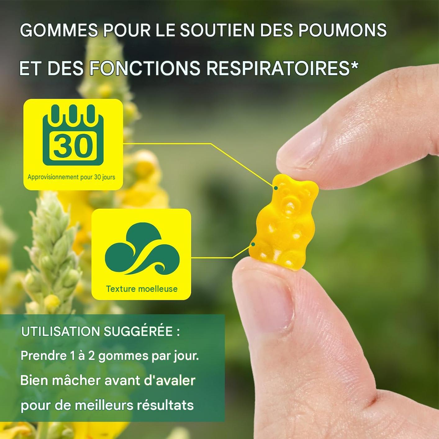 Mullein Gummies 2000 mg – Soutien Respiratoire Naturel au Bouillon-Blanc, 60 Gummies Burkina